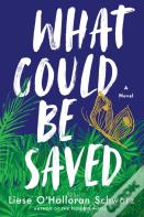 What Could Be Saved
