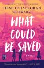 What Could Be Saved - Preview