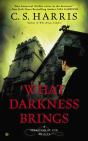 What Darkness Brings - Preview