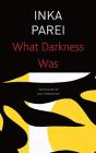 What Darkness Was - Preview