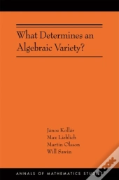 What Determines An Algebraic Variety?