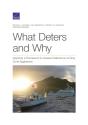 What Deters And Why - Preview