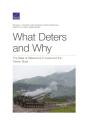 What Deters And Why - Preview