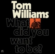 Capa do artigo What Did You Want to Be? - CD