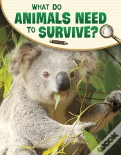 Capa do artigo What Do Animals Need To Survive?