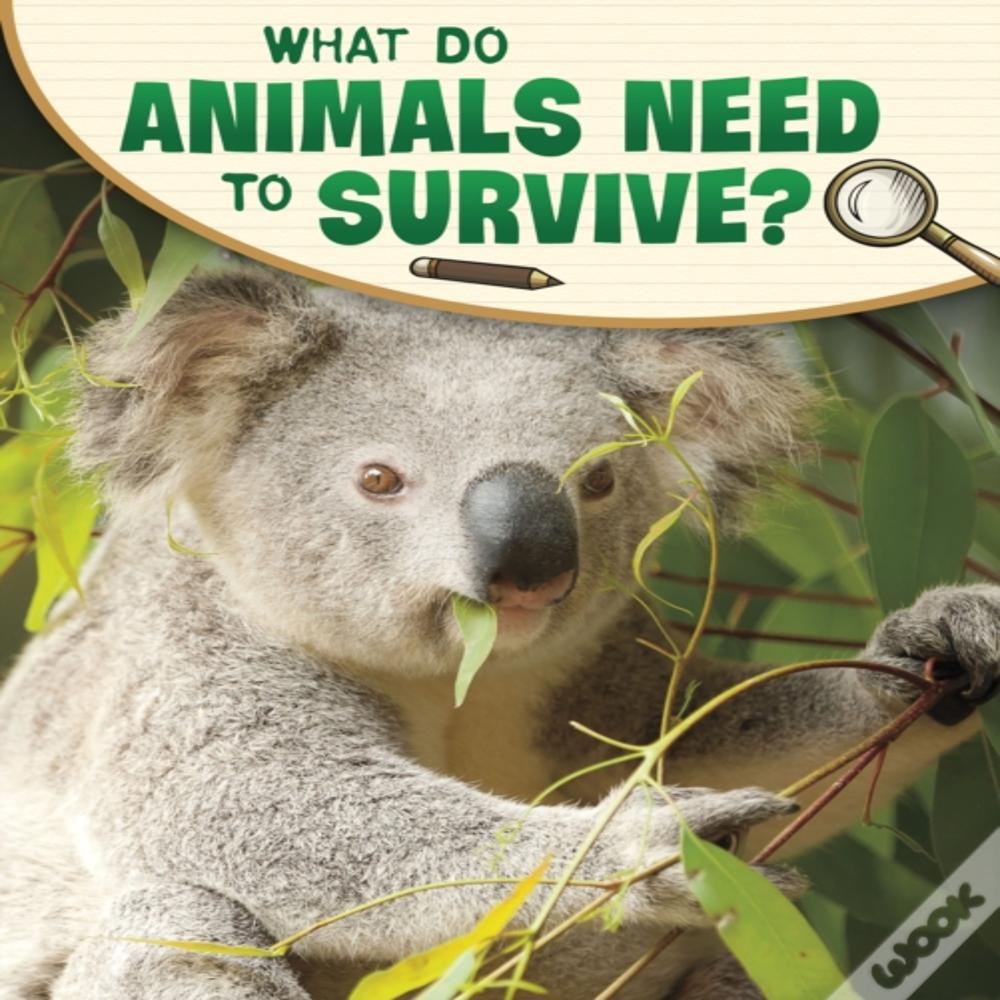 What Do Animals Need To Survive?