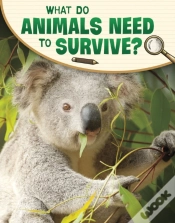 Capa do artigo What Do Animals Need To Survive?