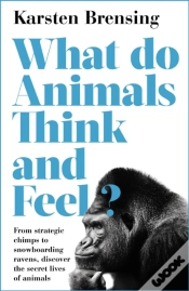Capa do artigo What Do Animals Think And Feel?