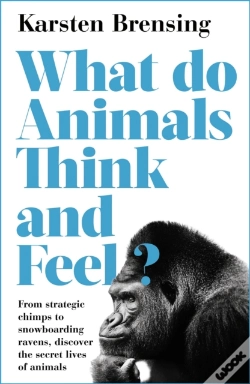 Capa do artigo What Do Animals Think And Feel?
