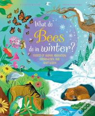 What Do Bees Do In Winter?