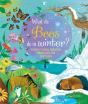 What Do Bees Do In Winter? - Preview