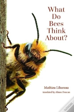 Capa do artigo What Do Bees Think About?