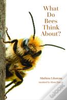 What Do Bees Think About?