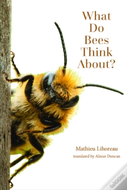 Capa do artigo What Do Bees Think About?