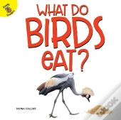 What Do Birds Eat?