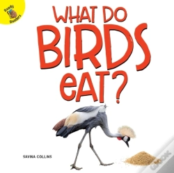 Capa do artigo What Do Birds Eat?