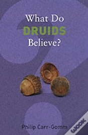 Capa do artigo What Do Druids Believe?