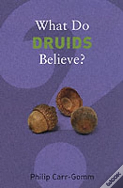 Capa do artigo What Do Druids Believe?