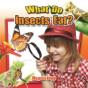 What Do Insects Eat? - Preview