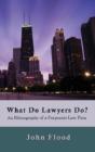 What Do Lawyers Do? - Preview