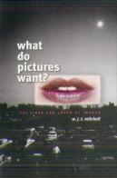 What Do Pictures Want?