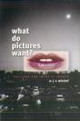 What Do Pictures Want? - Preview
