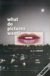 Capa do artigo What Do Pictures Want?