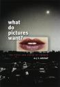 What Do Pictures Want? - Preview