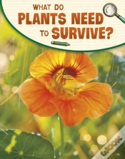 Capa do artigo What Do Plants Need To Survive?