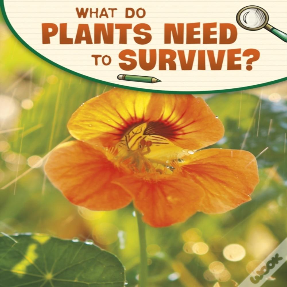 What Do Plants Need To Survive?