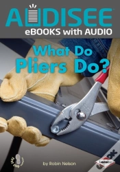 Capa do artigo What Do Pliers Do?