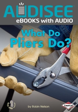 Capa do artigo What Do Pliers Do?