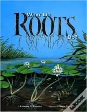 What Do Roots Do?