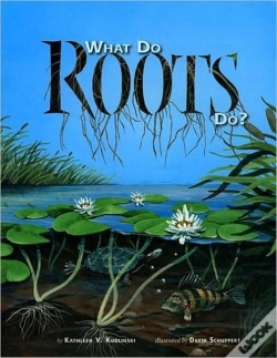 Capa do artigo What Do Roots Do?