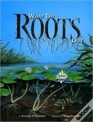 What Do Roots Do?