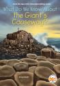 What Do We Know About The Giant'S Causeway? - Preview