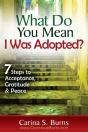 What Do You Mean I Was Adopted?   7 Steps To Acceptance, Gratitude & Peace - Preview