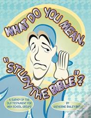 What Do You Mean, Study The Bible?
