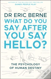 Capa do artigo What Do You Say After You Say Hello