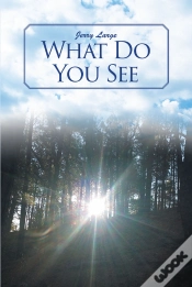 Capa do artigo What Do You See