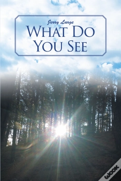 Capa do artigo What Do You See