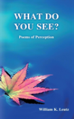 What Do You See?