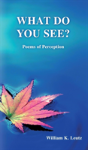 What Do You See? - Preview