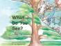 What Do You See? - Preview