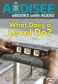 Capa do artigo What Does A Level Do?
