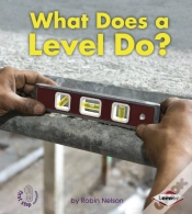 Capa do artigo What Does A Level Do?