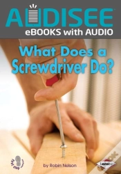 Capa do artigo What Does A Screwdriver Do?