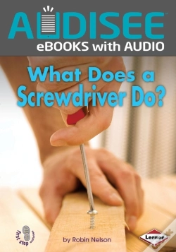 Capa do artigo What Does A Screwdriver Do?