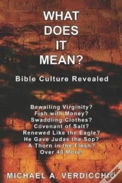Capa do artigo What Does It Mean?