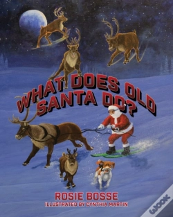 Capa do artigo What Does Old Santa Do?